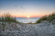 Sunset over a Costa Rica beach with dune grass