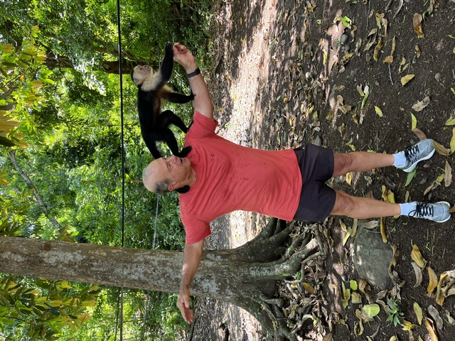 Guest with a capuchin monkey walking across his outstretched arm